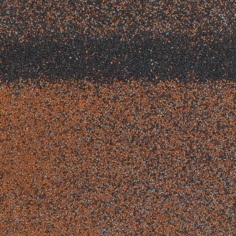 818069_818069_1