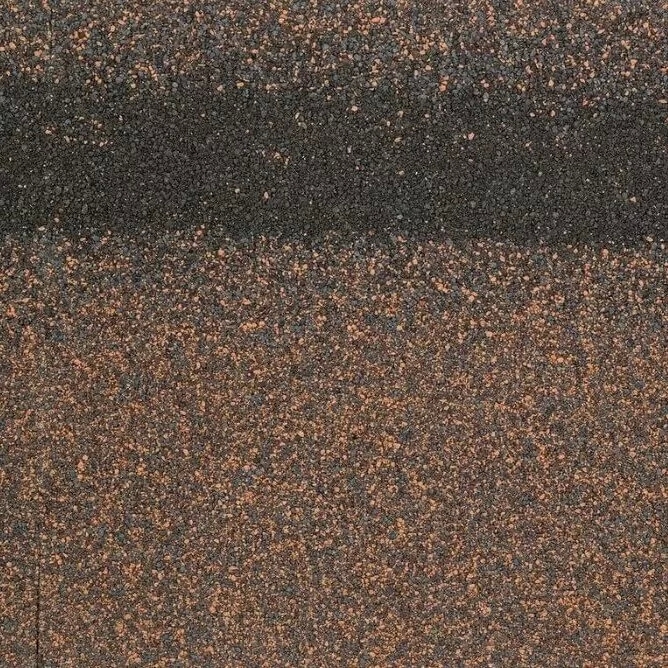 558286_558286_1