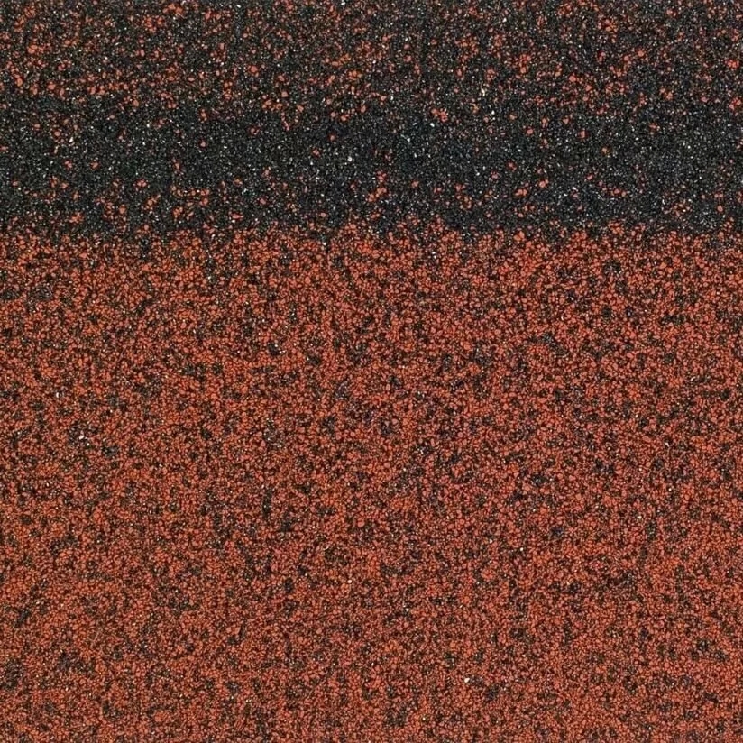 696536_696536_1