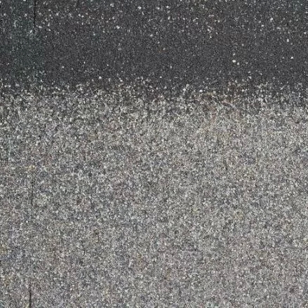 818064_818064_1
